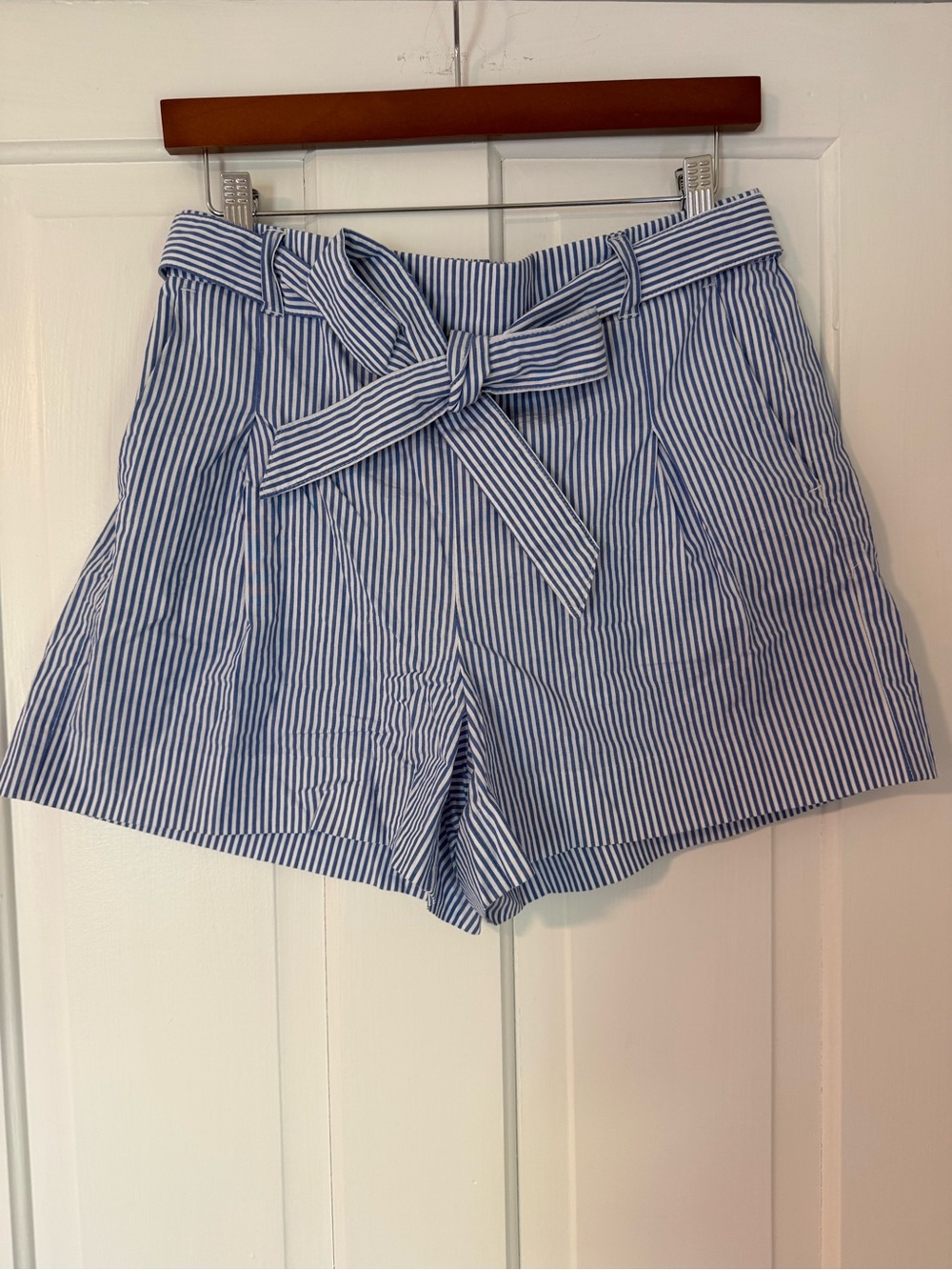 J. Crew Blue and White Striped Paperbag Shorts with Tie